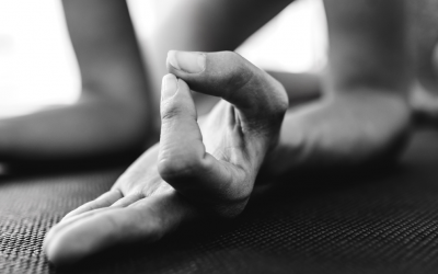How much Yoga is in the Yoga? 